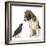 Beagle Puppy with Fledgling Jackdaw (Corvus Monedula)-Mark Taylor-Framed Photographic Print