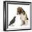 Beagle Puppy with Fledgling Jackdaw (Corvus Monedula)-Mark Taylor-Framed Photographic Print