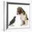 Beagle Puppy with Fledgling Jackdaw (Corvus Monedula)-Mark Taylor-Framed Photographic Print