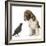 Beagle Puppy with Fledgling Jackdaw (Corvus Monedula)-Mark Taylor-Framed Photographic Print