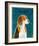 Beagle-John Golden-Framed Art Print