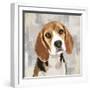 Beagle-Keri Rodgers-Framed Giclee Print
