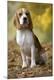Premium Photographic Print