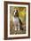 Beagle-null-Framed Photographic Print