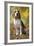 Beagle-null-Framed Photographic Print