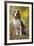 Beagle-null-Framed Photographic Print