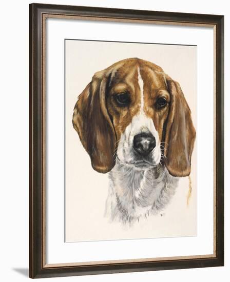 Beagle-Barbara Keith-Framed Giclee Print