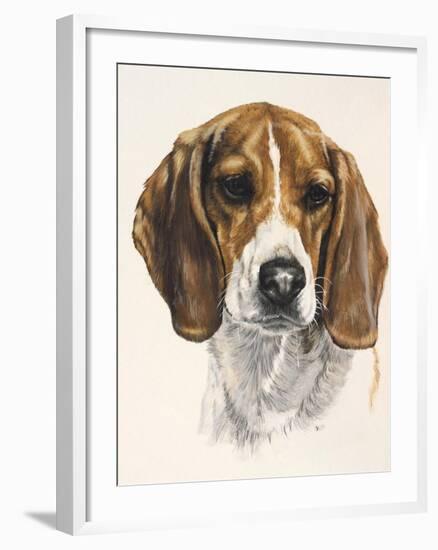 Beagle-Barbara Keith-Framed Giclee Print