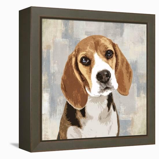 Beagle-Keri Rodgers-Framed Stretched Canvas