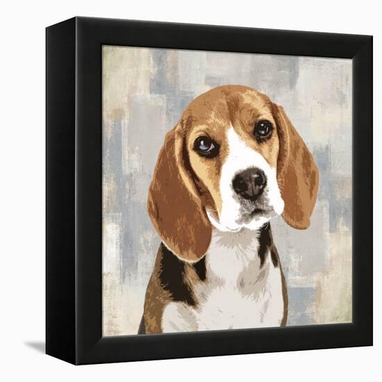 Beagle-Keri Rodgers-Framed Stretched Canvas