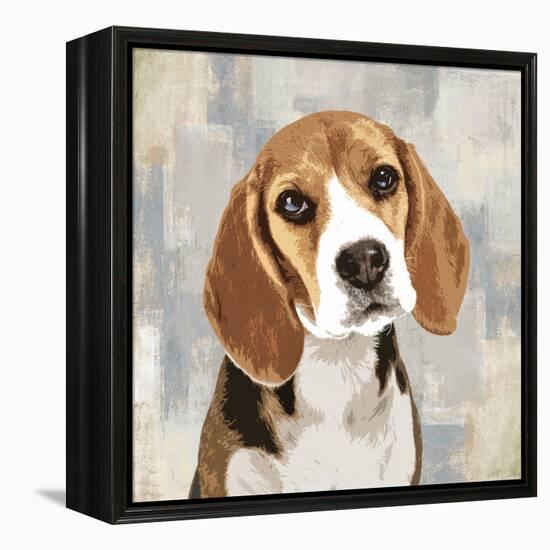 Beagle-Keri Rodgers-Framed Stretched Canvas