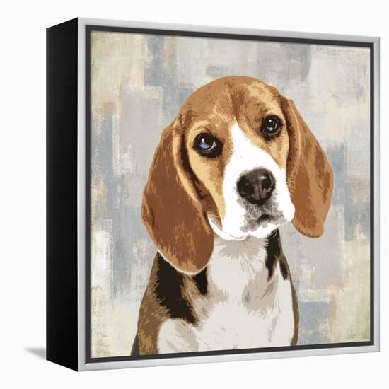 Beagle-Keri Rodgers-Framed Stretched Canvas