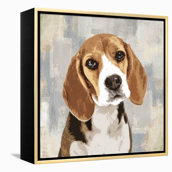 Beagle-Keri Rodgers-Framed Stretched Canvas