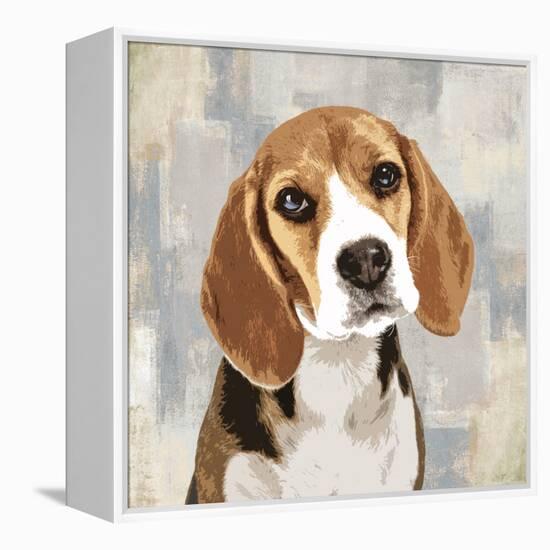 Beagle-Keri Rodgers-Framed Stretched Canvas