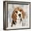 Beagle-Keri Rodgers-Framed Art Print