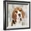 Beagle-Keri Rodgers-Framed Art Print