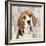 Beagle-Keri Rodgers-Framed Art Print