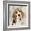 Beagle-Keri Rodgers-Framed Art Print