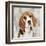 Beagle-Keri Rodgers-Framed Art Print