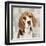 Beagle-Keri Rodgers-Framed Art Print