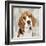 Beagle-Keri Rodgers-Framed Art Print