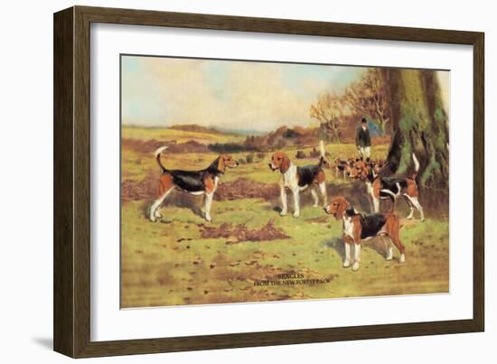 Beagles-Thomas Ivester Llyod-Framed Art Print