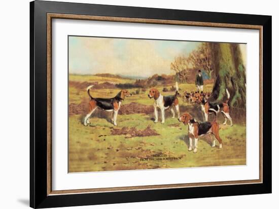 Beagles-Thomas Ivester Llyod-Framed Art Print