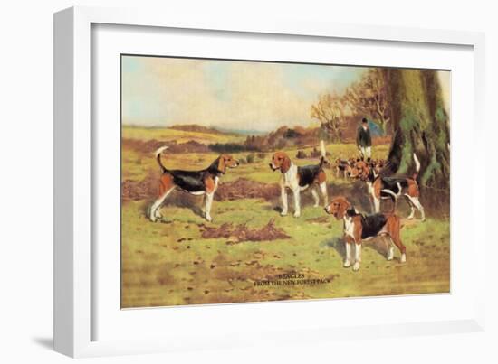 Beagles-Thomas Ivester Llyod-Framed Art Print