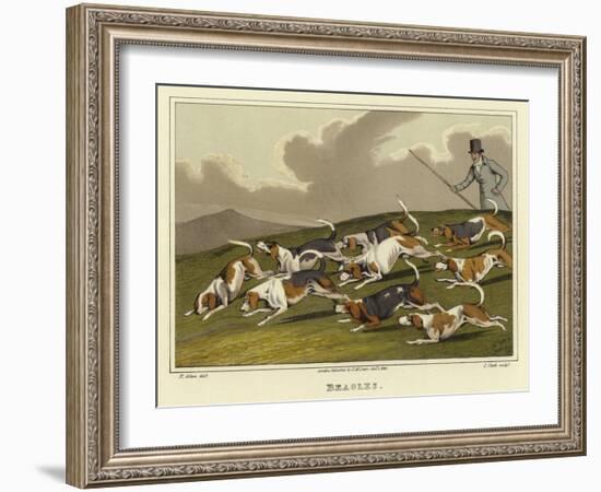 Beagles-Henry Thomas Alken-Framed Giclee Print