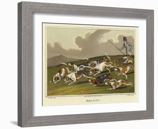 Beagles-Henry Thomas Alken-Framed Giclee Print