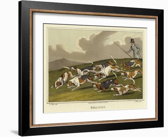 Beagles-Henry Thomas Alken-Framed Giclee Print