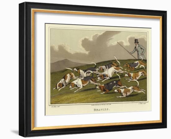 Beagles-Henry Thomas Alken-Framed Giclee Print