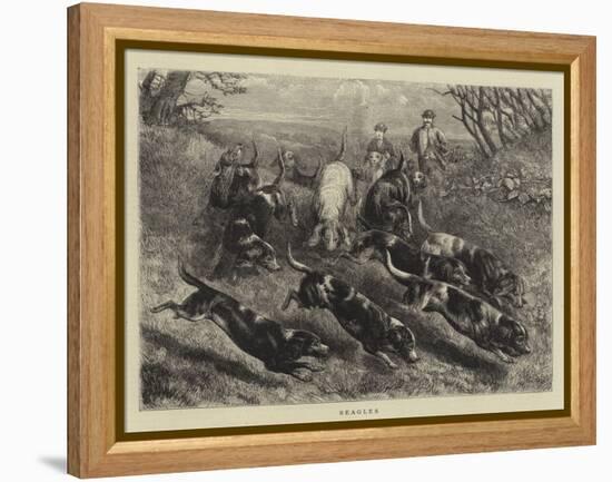 Beagles-null-Framed Premier Image Canvas