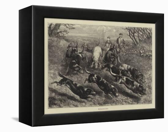 Beagles-null-Framed Premier Image Canvas