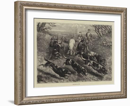 Beagles-null-Framed Giclee Print