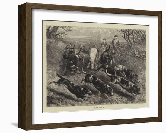 Beagles-null-Framed Giclee Print