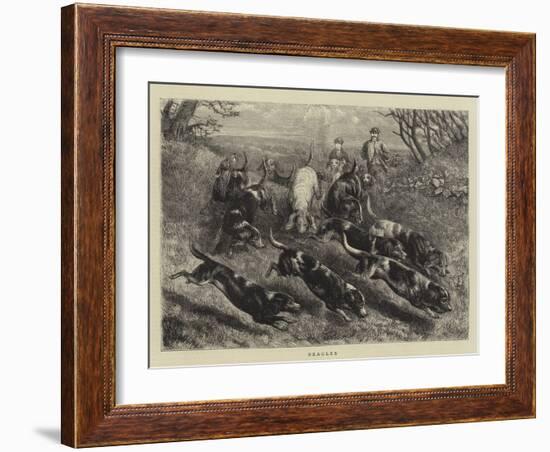 Beagles-null-Framed Giclee Print