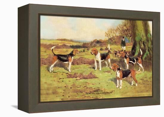 Beagles-Thomas Ivester Llyod-Framed Stretched Canvas