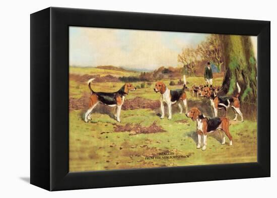 Beagles-Thomas Ivester Llyod-Framed Stretched Canvas