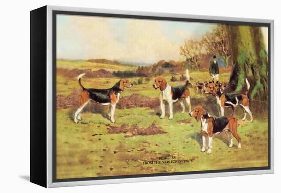 Beagles-Thomas Ivester Llyod-Framed Stretched Canvas