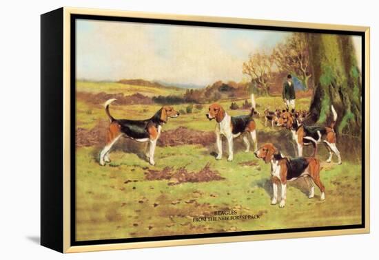 Beagles-Thomas Ivester Llyod-Framed Stretched Canvas