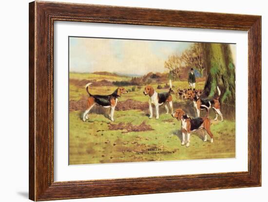 Beagles-Thomas Ivester Llyod-Framed Art Print