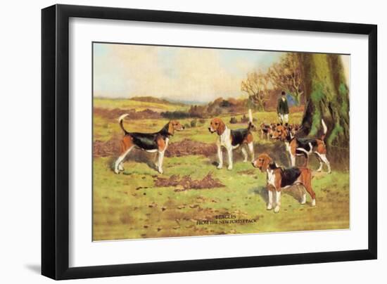 Beagles-Thomas Ivester Llyod-Framed Art Print