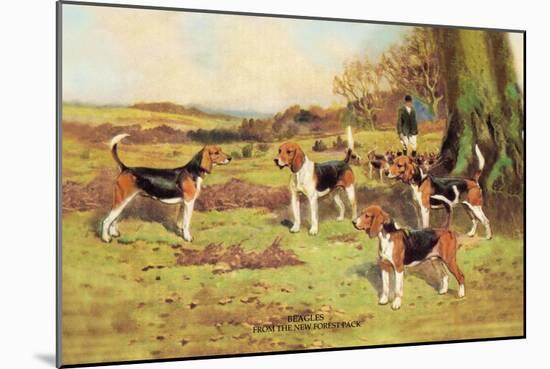 Beagles-Thomas Ivester Llyod-Mounted Art Print