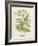 Beaked Parsley-Mabel E. Step-Framed Art Print