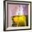 Beaker Filled with Liquid-null-Framed Photographic Print