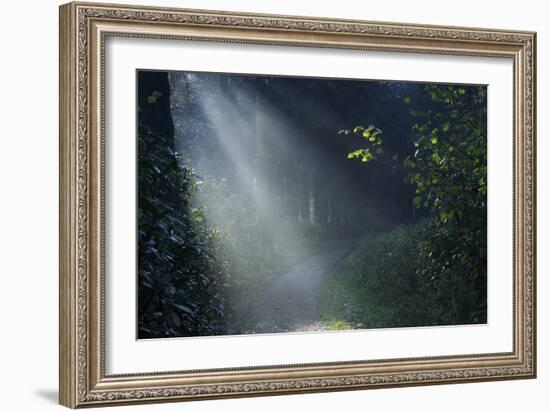 Beam of Light-Istv?n Nagy-Framed Photographic Print