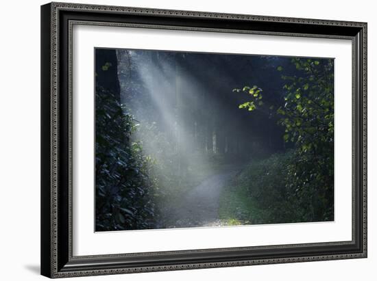 Beam of Light-Istv?n Nagy-Framed Photographic Print