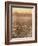 Bean Field Dusk-Lincoln Seligman-Framed Giclee Print