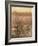 Bean Field Dusk-Lincoln Seligman-Framed Giclee Print